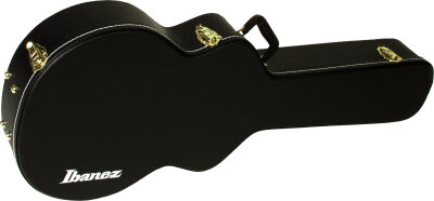 Ibanez AS100C Case
