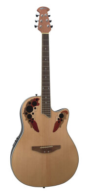 Applause AE148 Guitar