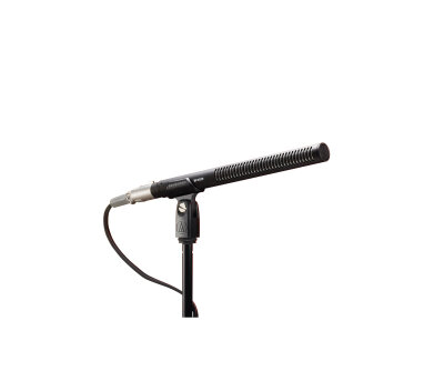 Audio-Technica BP4029 Mic