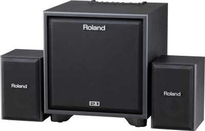 Roland CM220 Cube Speaker