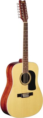Washburn D10S12 12-String