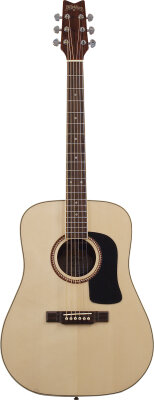 Washburn D10S Acoustic