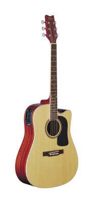 Washburn D10SCE Cutaway