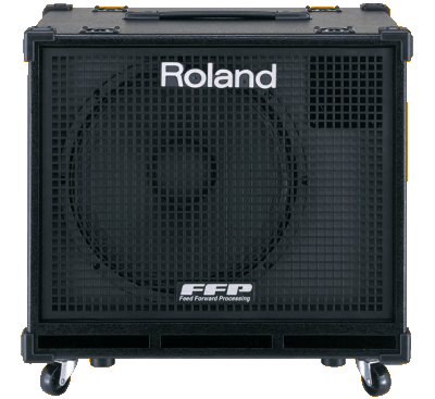 Roland D-Bass 115X Amp