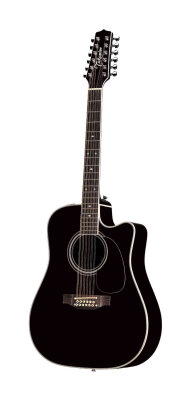 Takamine EF381SC Acoustic