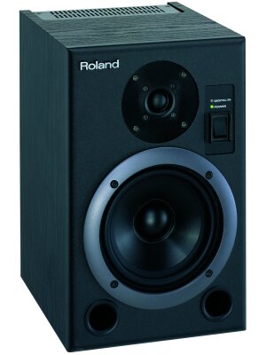 Roland DS-5 Monitors