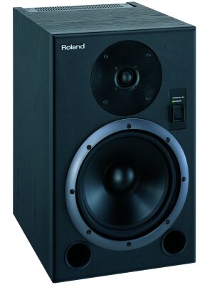 Roland DS8 Monitor