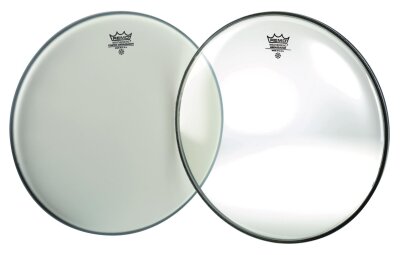 Clear Ambassador Bass