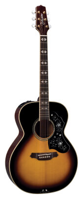 Takamine LTD2009