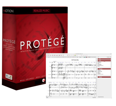 Notion Protege Notation