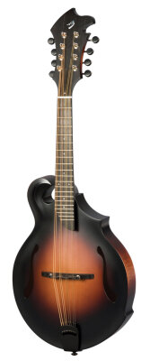 Breedlove American FF
