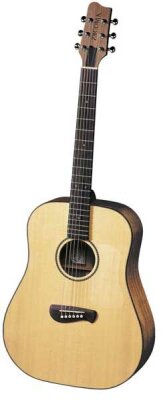 Tacoma DM9 Acoustic