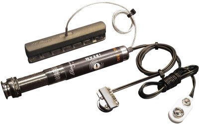 LR Baggs iBeam System