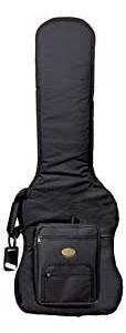 Fender Double Bass Bag