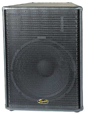 Squier SQ15 PA Speaker