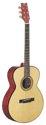 Washburn F10S Folk