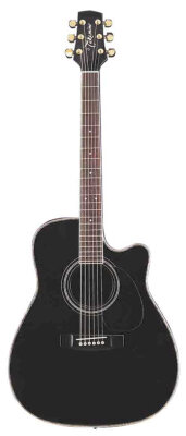 Takamine EG334SC Cutaway