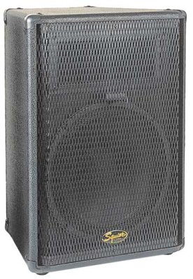 Squier SQ12 PA Speaker