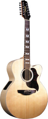 Takamine 12-String Jumbo