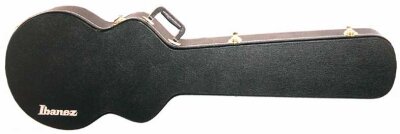 Ibanez AGB100C Case