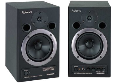 Roland DM-20 MicroMonitor