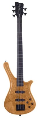 Warwick Rockbass Fortress