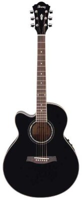 Ibanez AEL10l