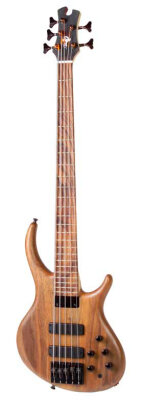 Tobias Killer B 5-String
