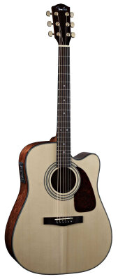 Fender DG22SCE