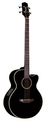 Takamine EG512C