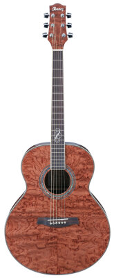 Ibanez EW20 BG Guitar