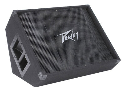 Peavey PV 12M Monitor