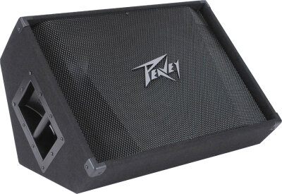 Peavey PV 15M Monitor