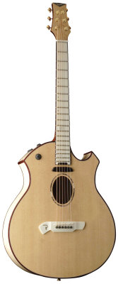 Parker P10E Acoustic