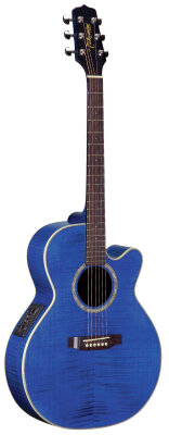 Takamine EG540C Acoustic