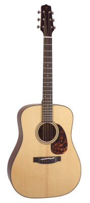 Takamine EC340SBG Guitar
