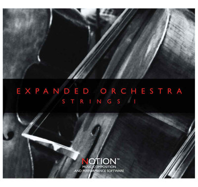 Notion Strings 1