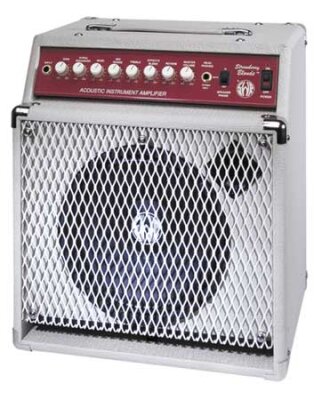 SWR Strawberry Blonde Amp