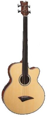 Dean Performer CE