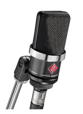 Neumann TLM-102 Mic
