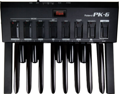 Roland PK-6 MIDI Pedal