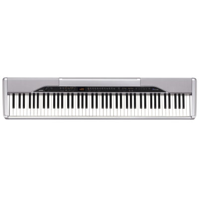 Casio PX310 Keyboard