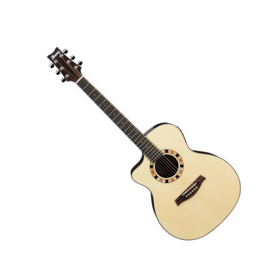 Ibanez A100LE Ambience