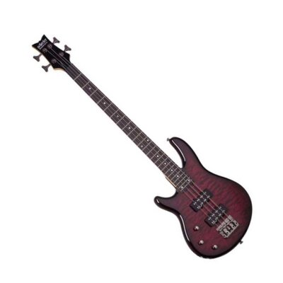 Schecter Raiden Special4L