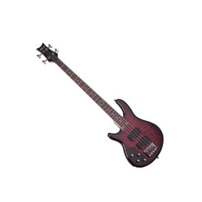 Schecter Raiden Elite-4L