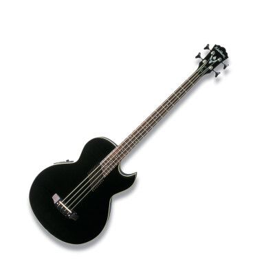 Washburn AB10 Bass