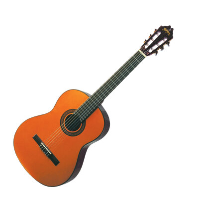 Washburn C40 Guitar