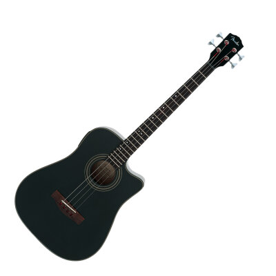 Fender BG29 Acoustic Bass