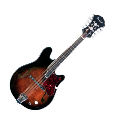 Fender Robert Schmidt