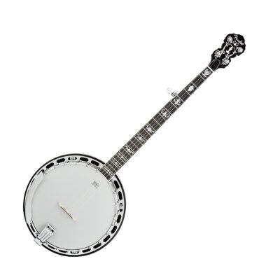 Fender FB-58 Banjo
